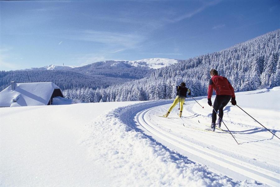 Schwarzwald-traum Mit Pool Und Sauna