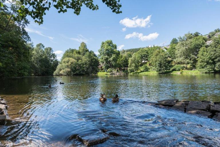 Schwarzwald-traum Mit Pool Und Sauna * Unterkirnach